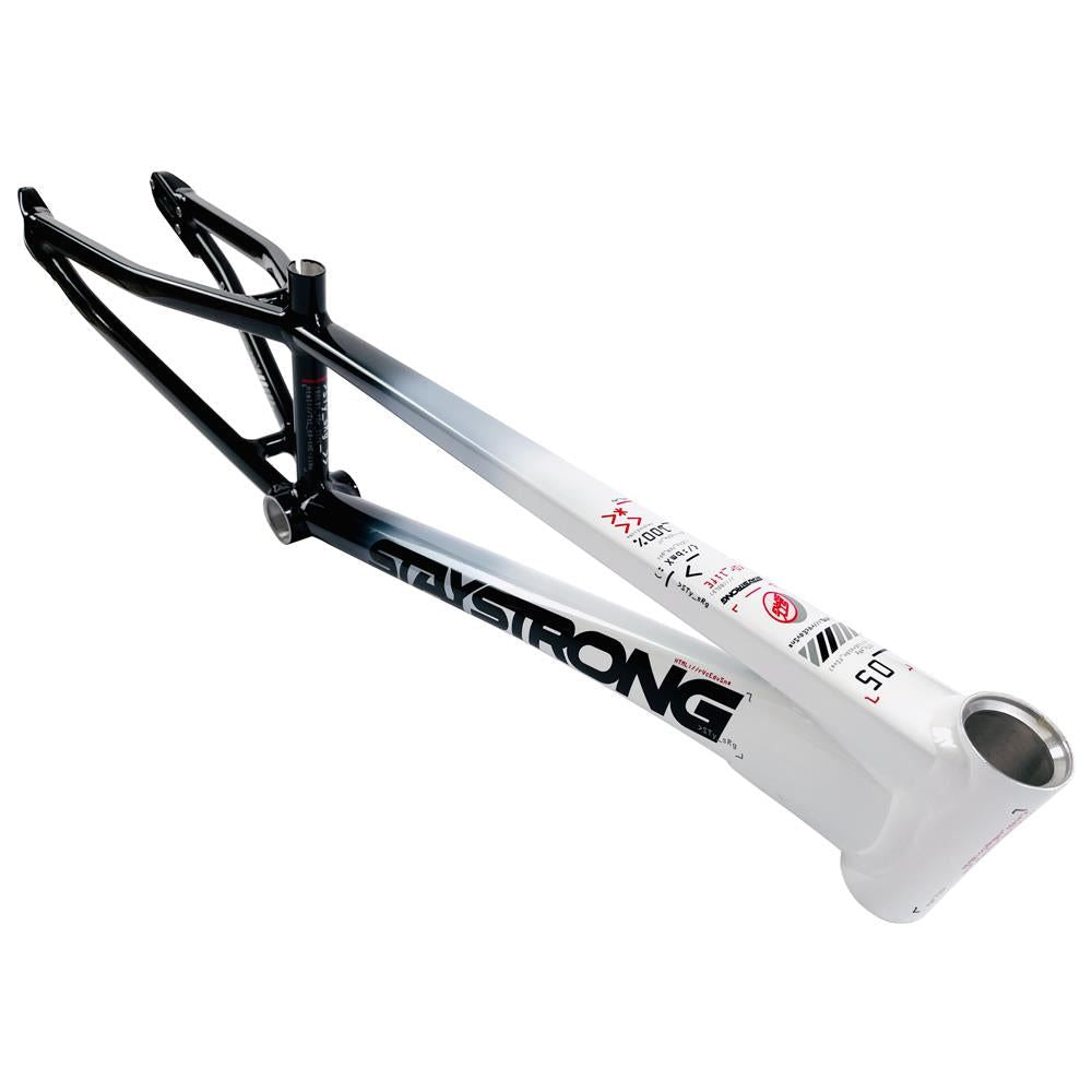 Stay Strong For Life 2024 V5 Junior Race Frame Disc version