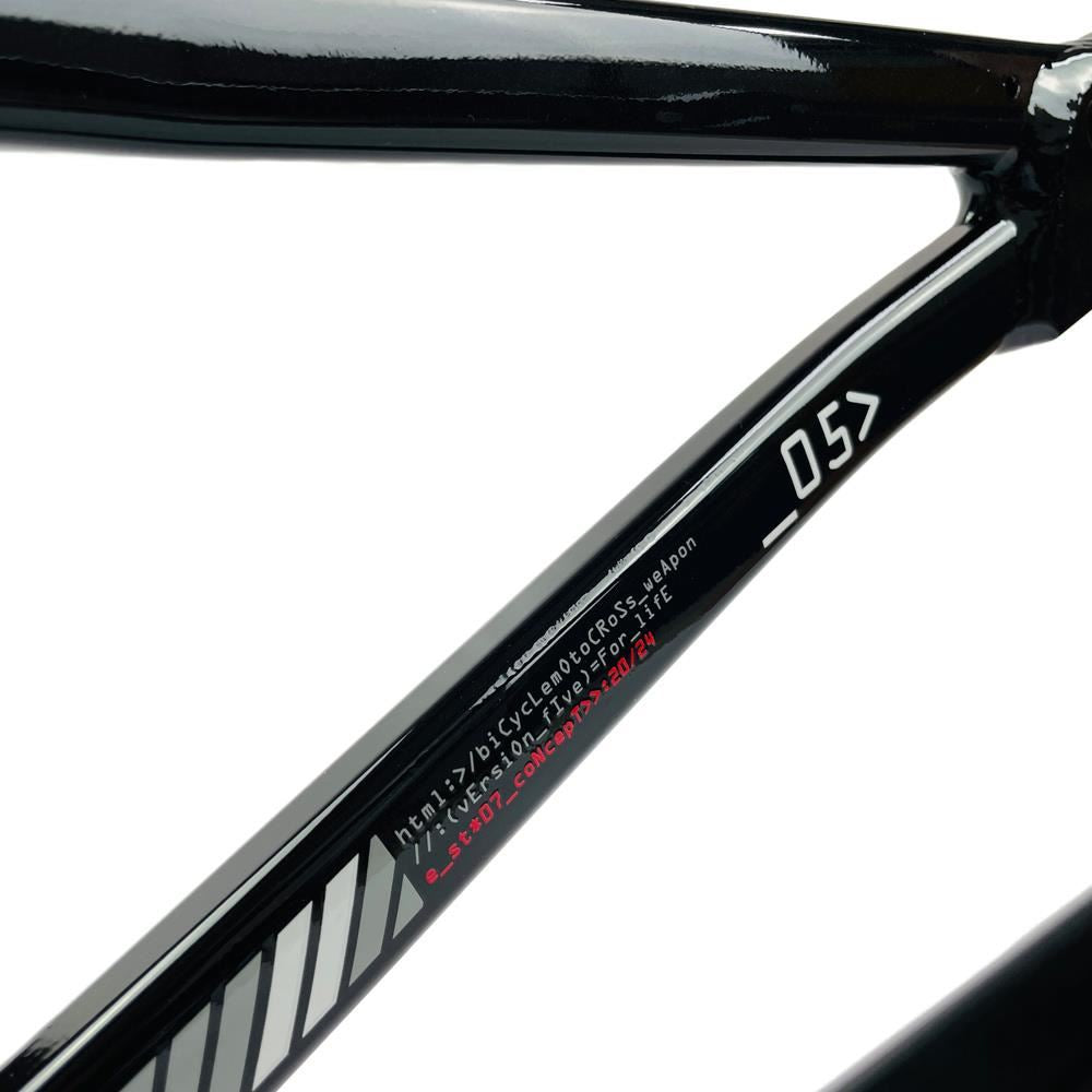 Stay Strong For Life 2024 V5 Cruiser Expert XL Race Frame staystrong