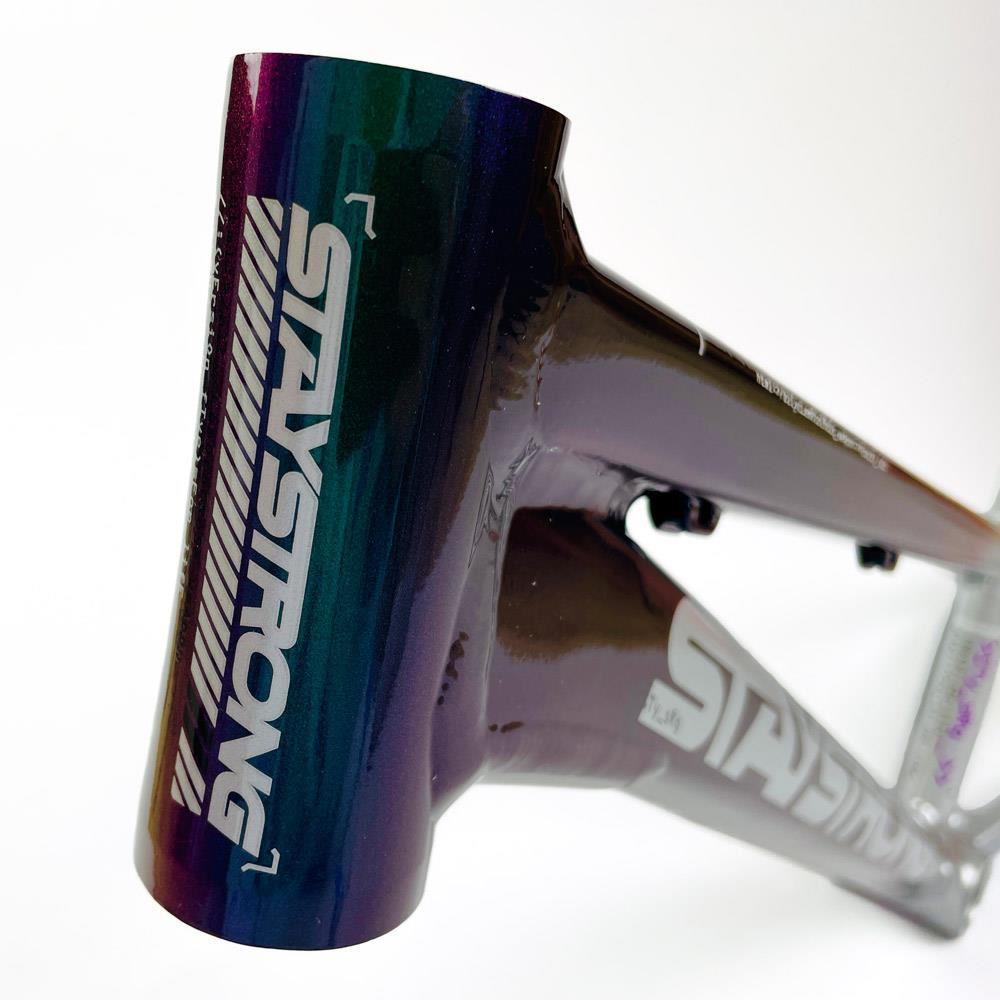 Stay Strong For Life 2024 V5 Junior Race Frame - Disc