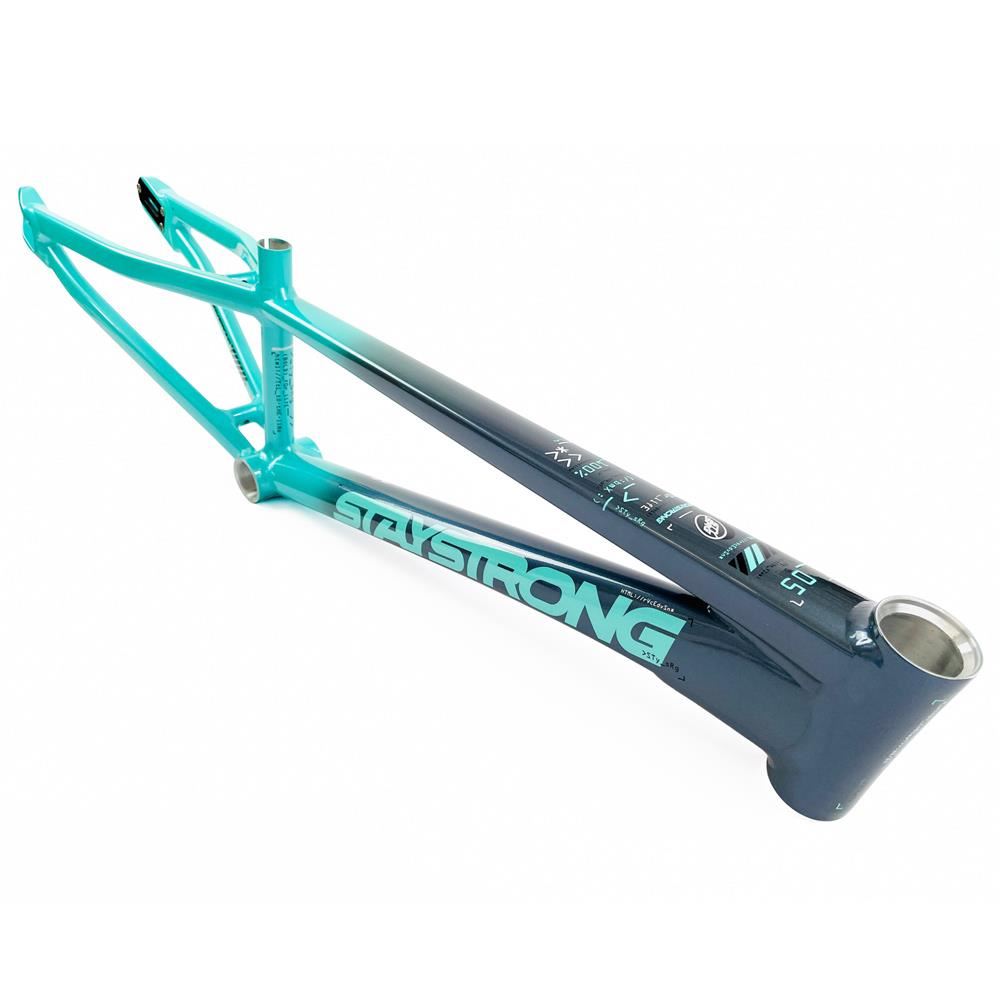 Stay Strong For Life 2024 V5 Pro Race Frame - Disc Version
