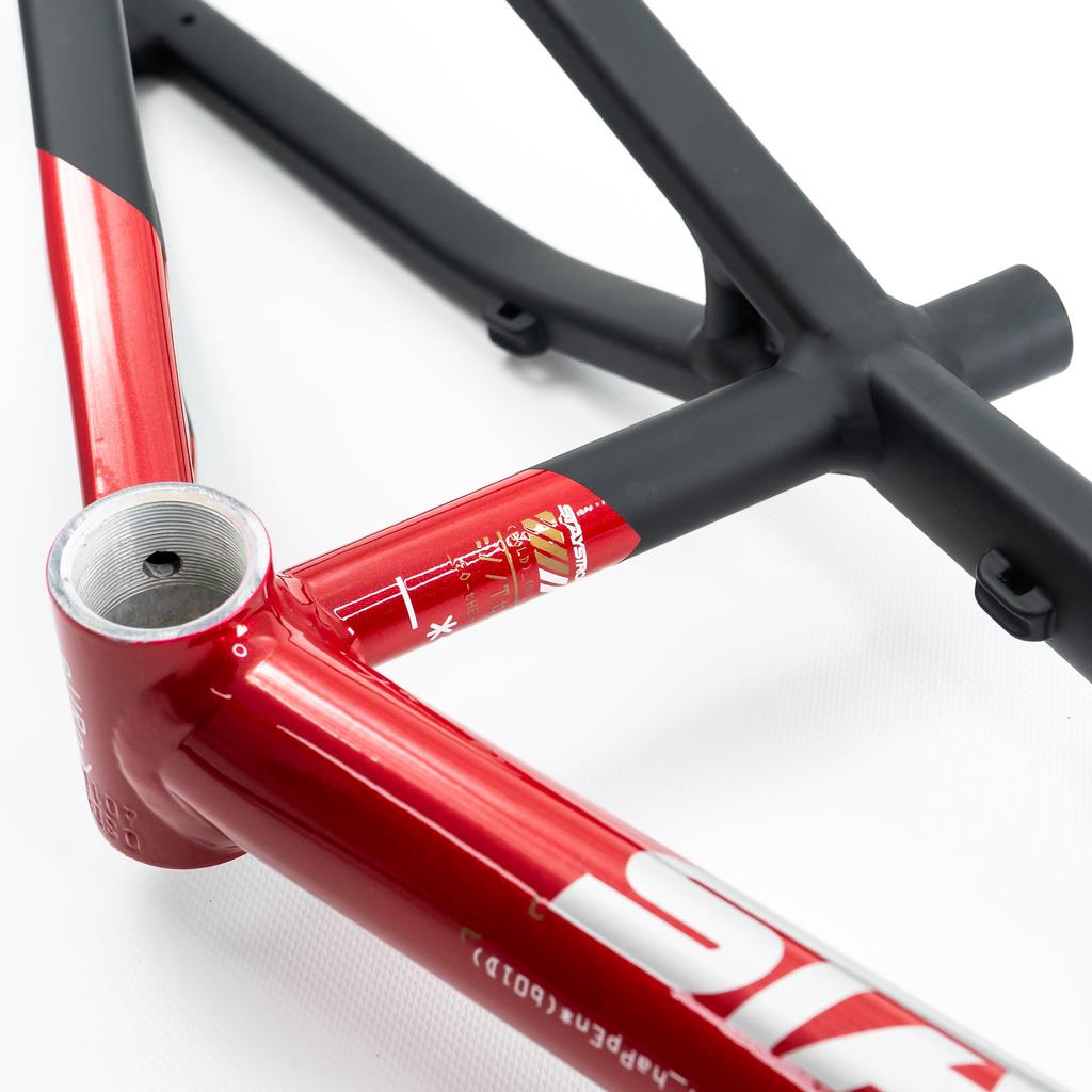 Stay Strong For Life V5 Expert Frame 2025 – staystrong