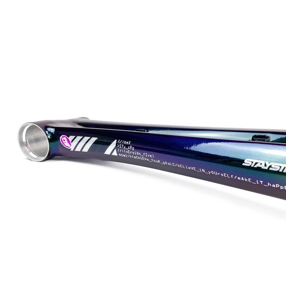 Stay Strong For Life 2024 V5 Pro Race Frame - Disc Version Stay Strong For Life 2024 V5 Pro Race Frame - Disc Version