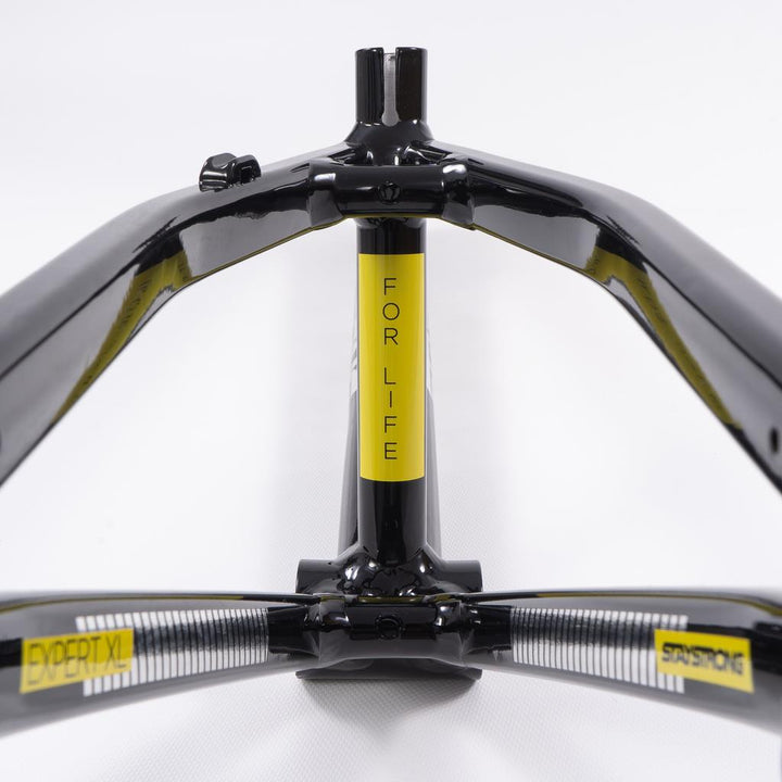 Stay Strong For Life 2023 V4 Junior Race Frame - Disc