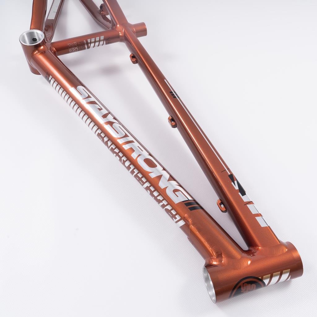 Stay Strong For Life 2023 V4 Junior Race Frame – staystrong