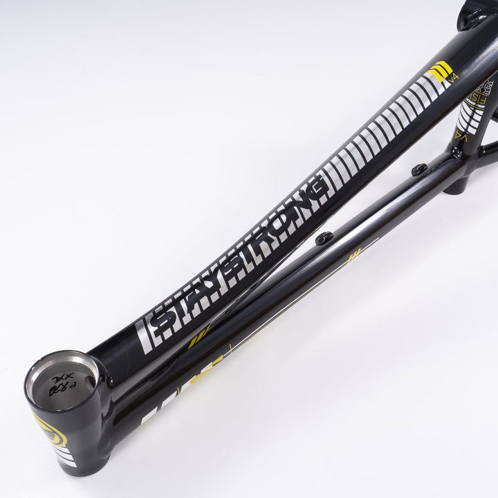 Stay Strong For Life 2023 V4 Cruiser Race Frame – staystrong